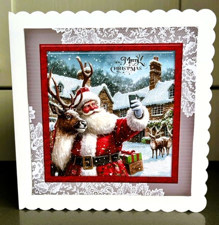 Selfie with a reindeer by Elaine  Harmer