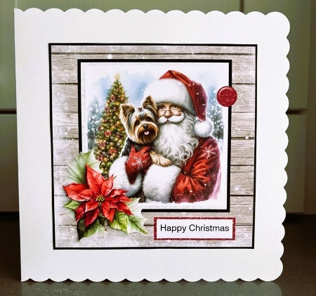 Yorkshire Terrier Christmas 1 by Elaine  Harmer