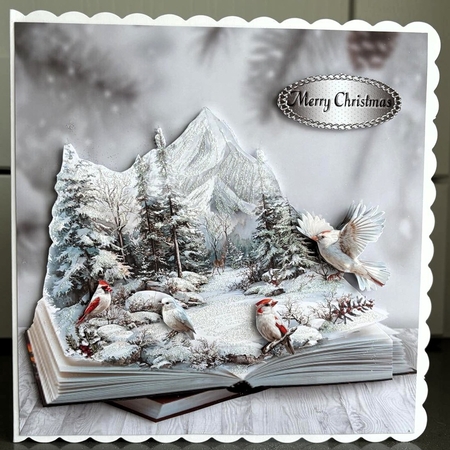 red and white cardinals by Elaine  Harmer