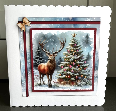 Christmas Wonderland by Elaine  Harmer