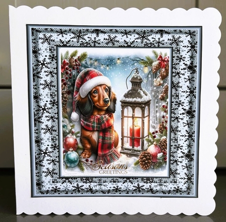Tartan Tails In The Snow 5 by Elaine  Harmer
