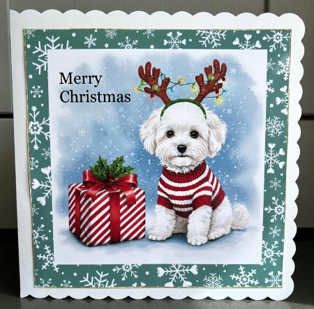 Christmas Gift Pups 1 by Elaine  Harmer