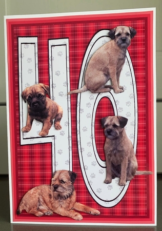 Border Terrier 40th Birthday Card by Elaine  Harmer
