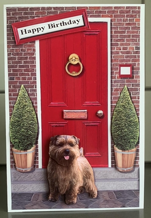 Norfolk Terrier with a Red Door by Elaine  Harmer