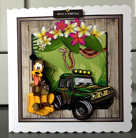 Lets Get Wild 6 by Elaine Harmer