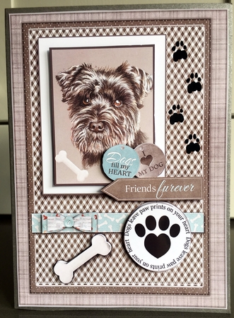 Dogs Leave Paw Prints On Our Hearts by Elaine  Harmer