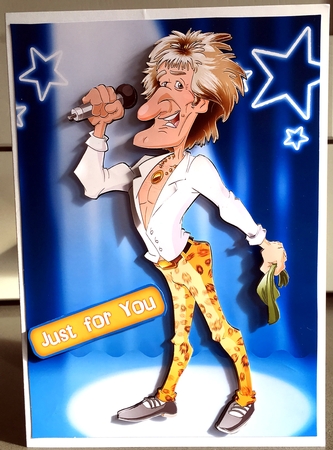 Rock Star Dude by Elaine Harmer