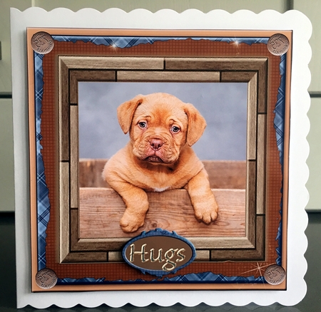 So Cute Puppy for Male by Elaine  Harmer