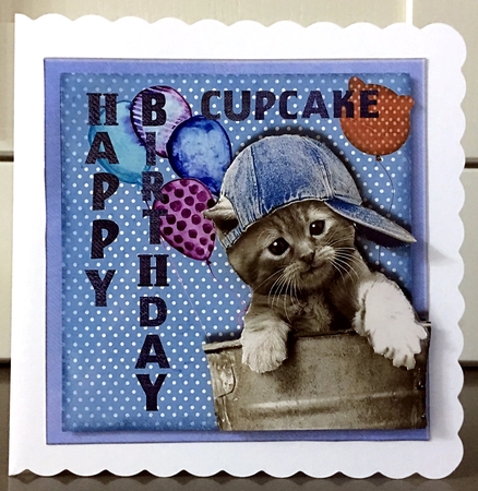 Cupcake Cat by Elaine Harmer