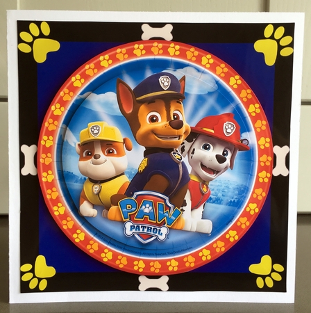 Heros Of Paw Patrol Mini Kit by Elaine  Harmer