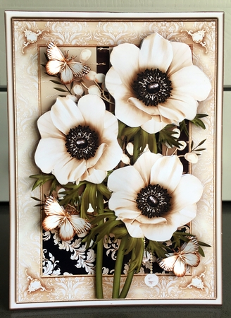 Wedding Anniversary Birthday Cream Anemone Card by Elaine  Harmer