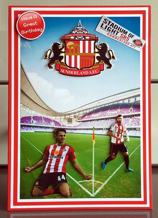 Football - Sunderland by Elaine  Harmer