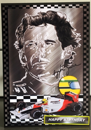 Senna - The Legend by Elaine  Harmer