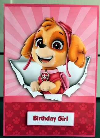 Paw Patrol Skye A5 Decoupage Featured Gallery Photo
