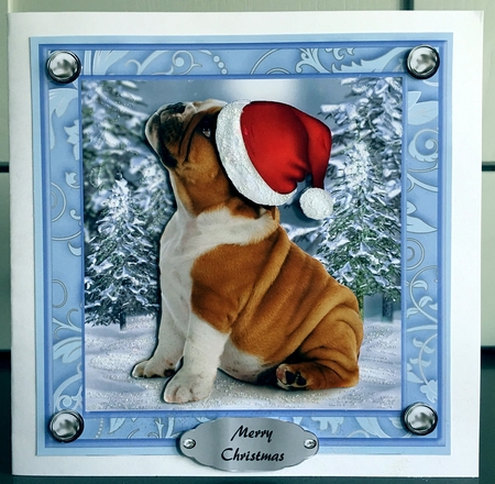Beautiful Christmas British Bulldog 8x8 Mini Kit by Elaine  Harmer