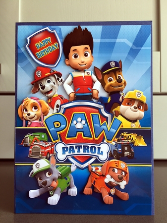 Paw Patrol Group Birthday A5 Decoupage by Elaine  Harmer