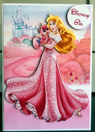 Sleeping Beauty Aurora A5 Decoupage by Elaine  Harmer