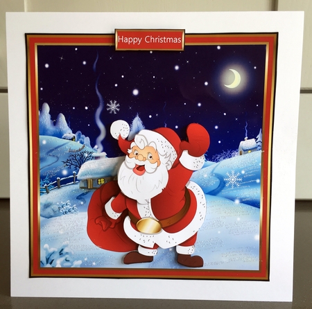 Santa in the moonlight by Elaine  Harmer