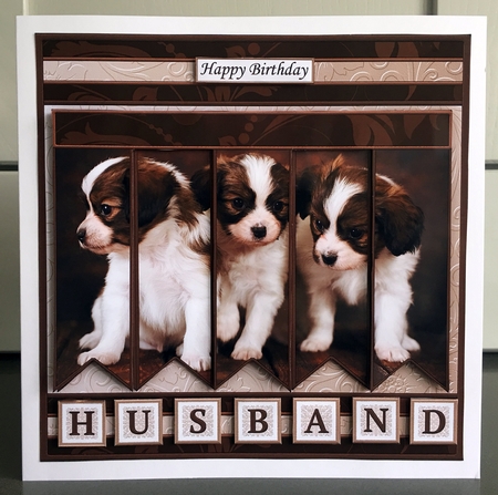 PUPPIES 7.5 Alphabet and Age Quick Card Kit Create Any Name by Elaine  Harmer
