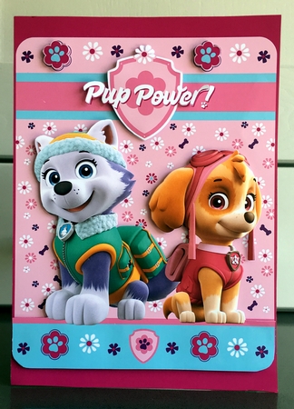 Paw Patrol Skye and Everest Pup Power Birthday A5 Decoupage by Elaine  Harmer