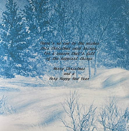 Blue Winter Scene by Elaine Harmer