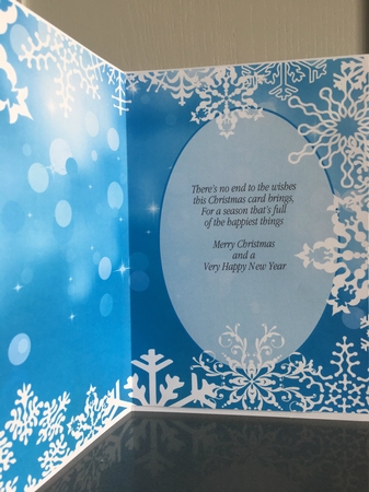 Blue Sparkles insert, With White Snowflake Frame by Elaine Harmer