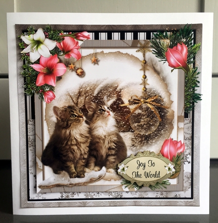 Kittens Watching It Snow by Elaine Harmer