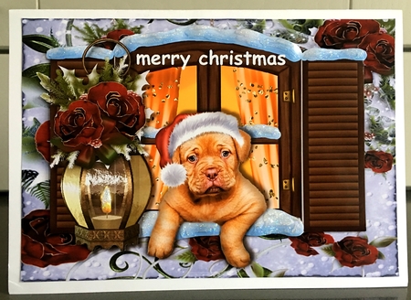 Puppys Christmas Window by Elaine  Harmer