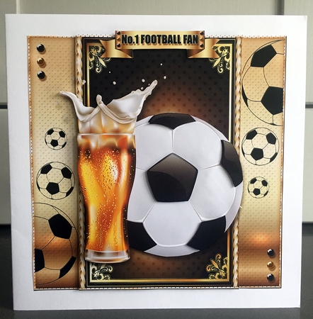 Football Fan by Elaine  Harmer