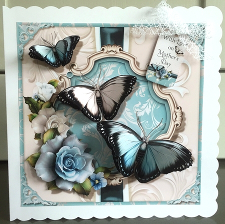 Butterfly Medley by Elaine  Harmer