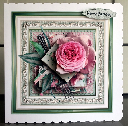 Dinner rose by Elaine Harmer