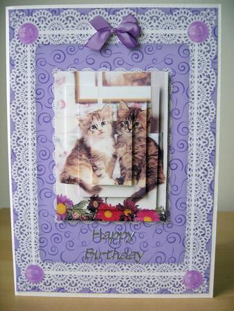 Lace Frame A5 Card Bases - Swirls 3 by Elaine  Harmer