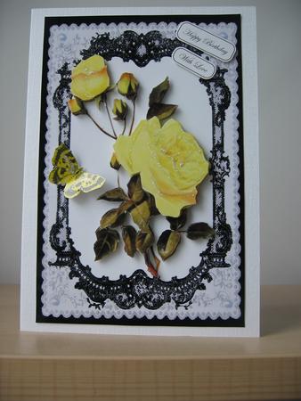 Beautiful Yellow Roses in Black Lace Frame by Elaine  Harmer