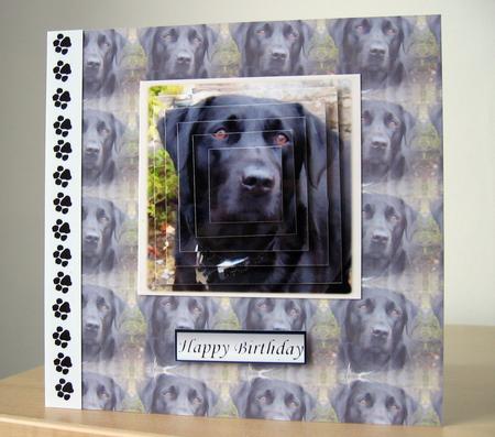 Black Labrador Portrait Pyramid with Background by Elaine  Harmer