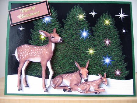 Deer Family by Elaine  Harmer