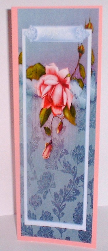 Dl Pink Rose by Elaine HIndson
