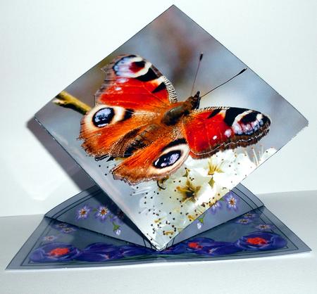 Diamond Folded Butterfly and Flowers Card by Elaine HIndson