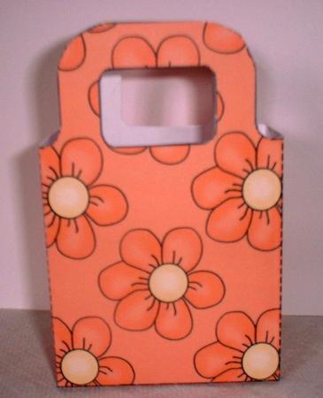 Orange Flowers Gift Bag by Elaine HIndson