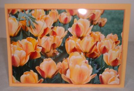 Beautiful Floral 2 Corner Stacker by Elaine HIndson