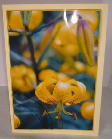 Beautiful Floral 2 Corner Stacker by Elaine HIndson