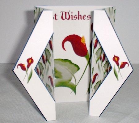 Red Calla Lilies by Elaine HIndson