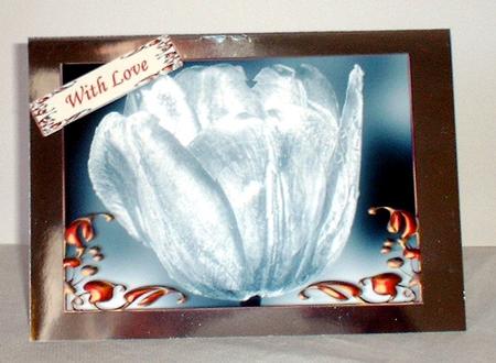 Silver White Tulip in Fancy Frame Circular Pyramid by Elaine HIndson