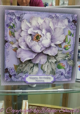 Beautiful Lilac Passion  by Elaine Shields