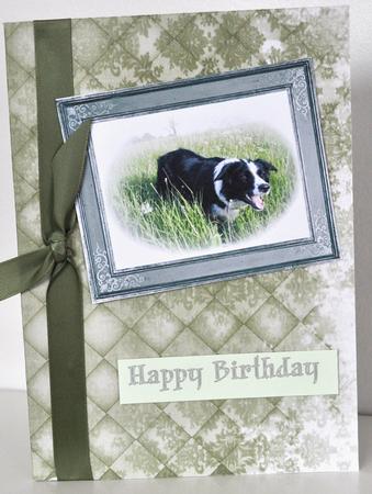 Olive Old Lace Check A4 Backing Paper by Elaine Thompson