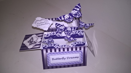 Black & White Butterflies - Pop-up Box Card & Envelope by Elaine Yallop