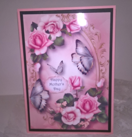 Beautiful Blush Roses & Butterflies by Elaine Yallop
