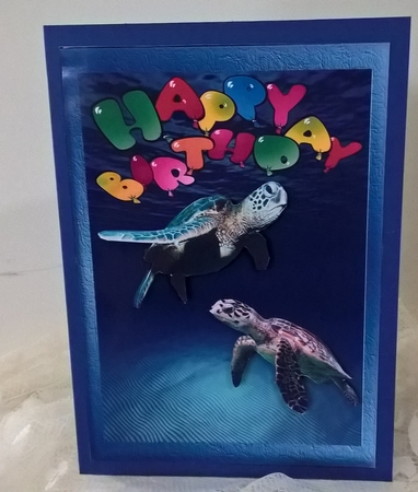 Turtle Birthday Card by Elaine Yallop