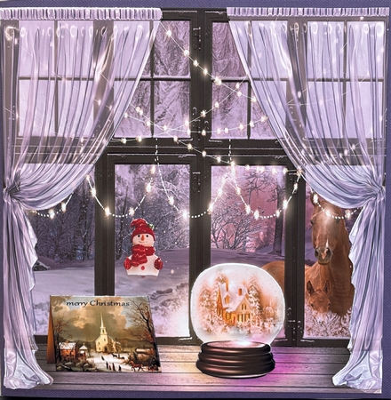 Christmas window  by Elena Pavlova