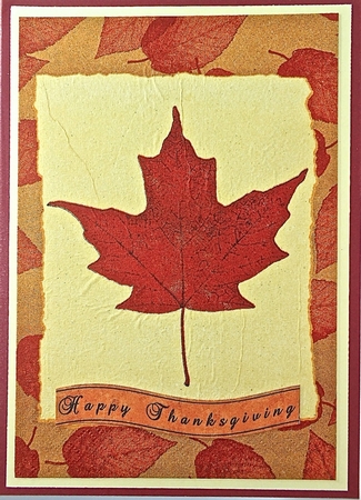 Thanksgiving Captions by Elena Pavlova