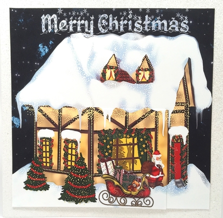 Merry Christmas House by Elena Pavlova